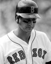 Carl Yastrzemski Boston Red Sox