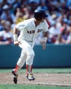 Carl Yastrzemski Boston Red Sox