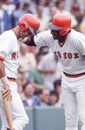 Carl Yastrzemski and Jim Rice