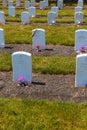 Carlisle Indian Industrial School Grave Markers