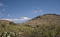 Carlsbad Caverns- Above-Ground Scenery Royalty Free Stock Photo