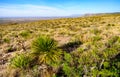 Carlsbad Caverns National Park Royalty Free Stock Photo