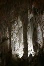 Carlsbad Caverns Rock Formations Royalty Free Stock Photo