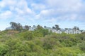 Carlsbad neighborhood on top of a slope at San Diego, California Royalty Free Stock Photo