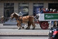 Carlsberg horses. Copenhagen. Denmark. Royalty Free Stock Photo