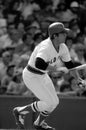 Carlton Fisk Boston Red Sox Royalty Free Stock Photo