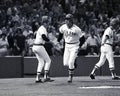 Carlton Fisk, Boston Red Sox Royalty Free Stock Photo