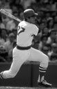 Carlton Fisk Boston Red Sox Royalty Free Stock Photo