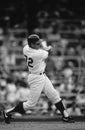 Carlton Fisk Chicago White Sox Royalty Free Stock Photo