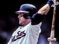 Carlton Fisk, Chicago White Sox Catcher Royalty Free Stock Photo