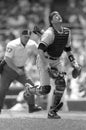 Carlton Fisk, Chicago White Sox catcher Royalty Free Stock Photo