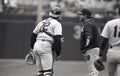 Carlton Fisk and Jim Fregosi, Chicago White Sox Royalty Free Stock Photo