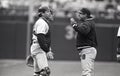 Carlton Fisk and Jim Fregosi, Chicago White Sox Royalty Free Stock Photo