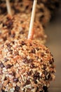 Carmel apple with nuts and chocolate Royalty Free Stock Photo