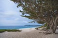 Carmel beach, a long, wide, white sand beach. Carmel Beach is one of the most iconic spots on California`s Central Coast