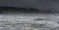 Carmel beach on a stormy day Royalty Free Stock Photo