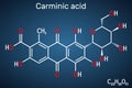 Carminic acid molecule. Structural chemical formula on the dark blue background. Vector illustration Royalty Free Stock Photo