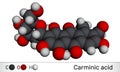 Carminic acid molecule. It is used in foods, pharmaceuticals. Molecular model. 3D rendering