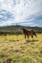 Carn Brea