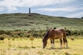 Carn Brea