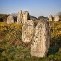 Carnac Alignments Brittany France Clear Blue Sky