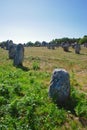 Carnac, alignments of Celtic menhirs.