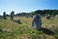 Carnac, alignments of Celtic menhirs.