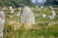 Carnac, exceptional megalithic alignments of menhir