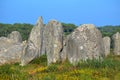 Carnac, exceptional megalithic alignments of menhir