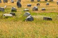 Carnac megaliths Royalty Free Stock Photo