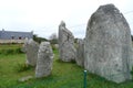 The Carnac stones are an extraordinarily dense collection of megalithic sites of stone arrays, dolmens, tumuli and single menhirs,