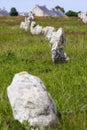 Carnac stones Royalty Free Stock Photo