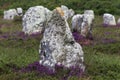 Carnac stones Royalty Free Stock Photo