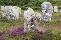 Carnac stones Royalty Free Stock Photo