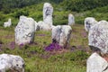 Carnac stones Royalty Free Stock Photo