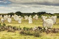 Carnac stones Royalty Free Stock Photo