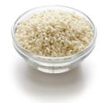 Carnaroli, italian risotto rice in bowl Royalty Free Stock Photo