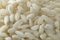 Carnaroli risotto rice Royalty Free Stock Photo