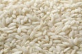 Carnaroli risotto rice Royalty Free Stock Photo