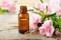 Carnation absolute essential oil and pink flowers on the wooden table Royalty Free Stock Photo