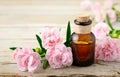 Carnation absolute essential oil and pink flowers on the wooden table Royalty Free Stock Photo