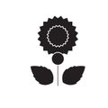 Carnation black vector concept icon. Carnation flat illustration, sign Royalty Free Stock Photo