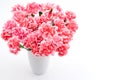 Carnation bouquet Royalty Free Stock Photo