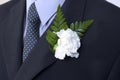 Carnation buttonhole Royalty Free Stock Photo