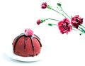 Carnation and cake Royalty Free Stock Photo