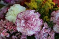 Carnation flower among flowers