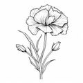 Carnation Print: Black And White Line Illustration With Simple Stroke Royalty Free Stock Photo