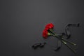 Black funeral ribbon with carnation flowers on dark background