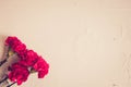 Carnation flowers and George Ribbon close-up on a dark background. Victory Day - May 9. Jubilee 70 years.