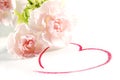 Carnation flowers and heart Royalty Free Stock Photo